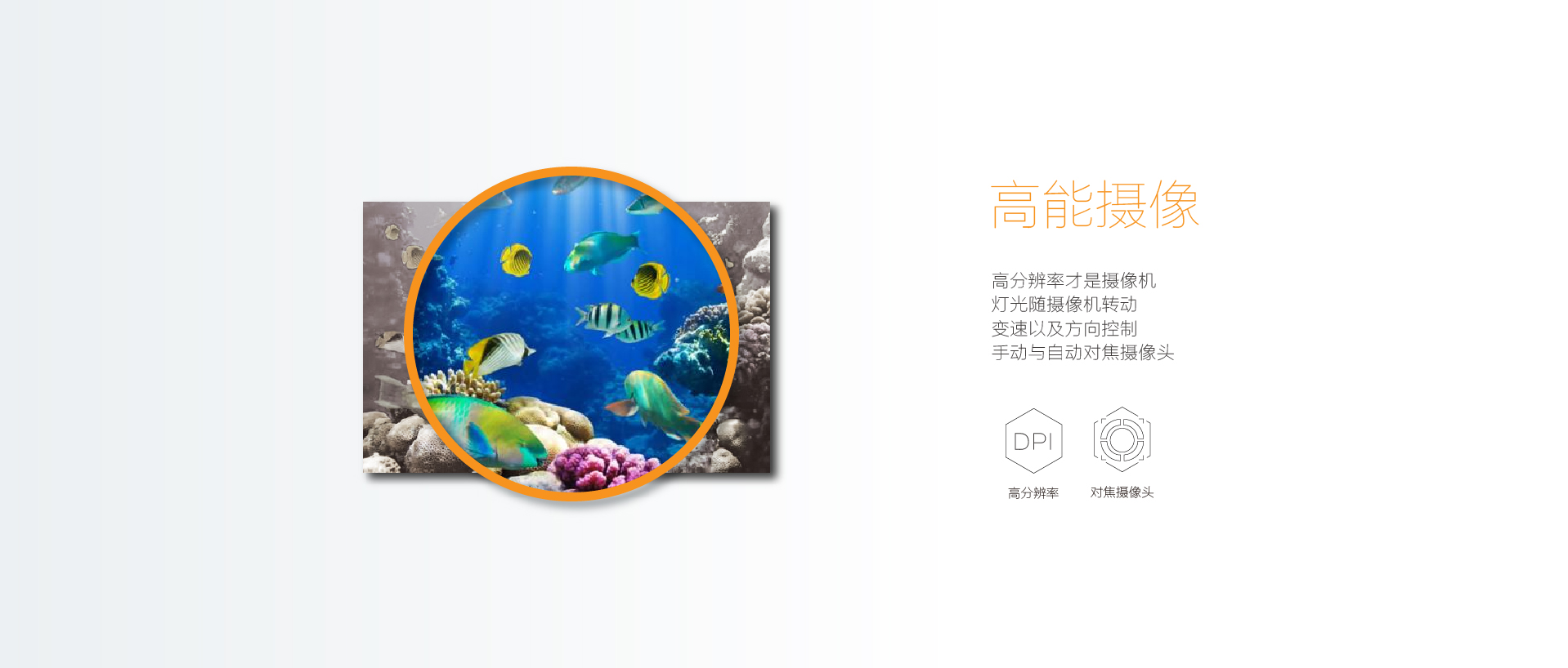 ROV Seamor Chinook 水下機(jī)器人
